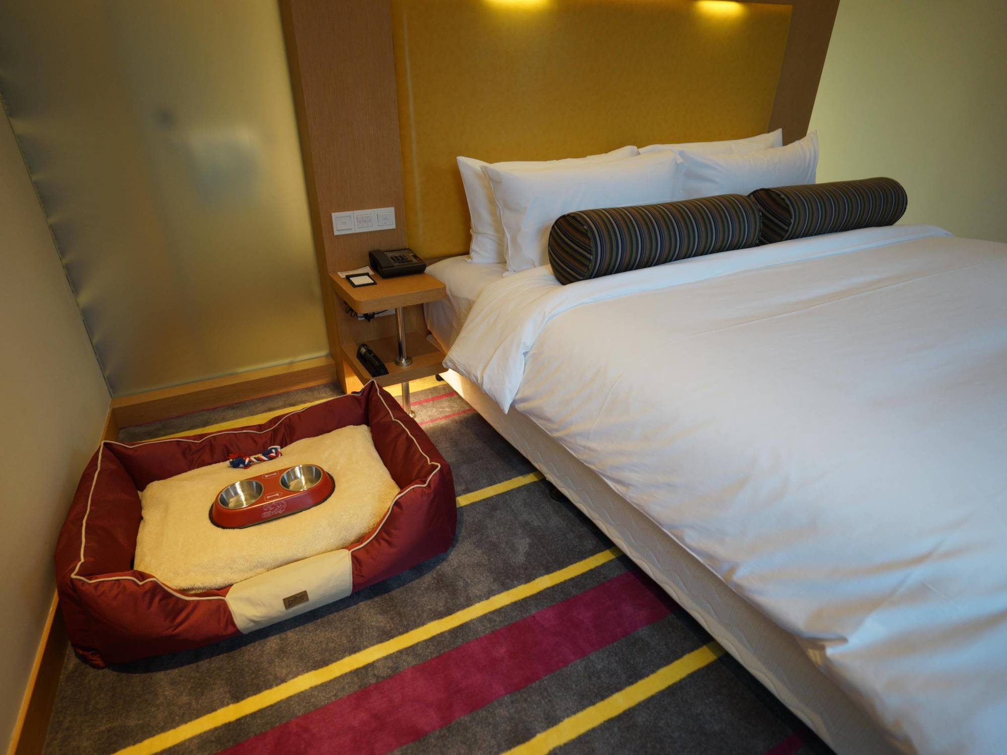 Aloft Dynamic Town Hotel Shenzhen Exterior photo